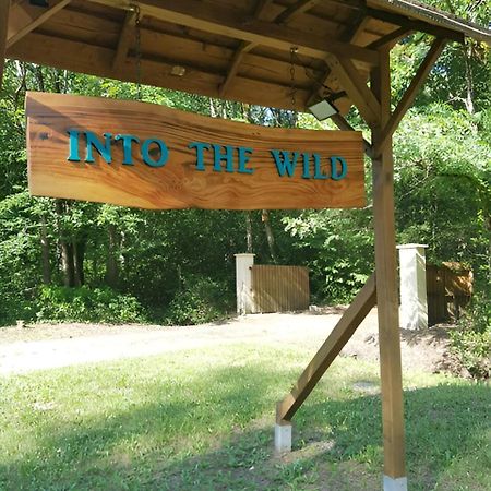 Into The Wild - Nos 5 Logements "Atypiques" Belin-Beliet 外观 照片