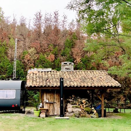Into The Wild - Nos 5 Logements "Atypiques" Belin-Beliet 外观 照片
