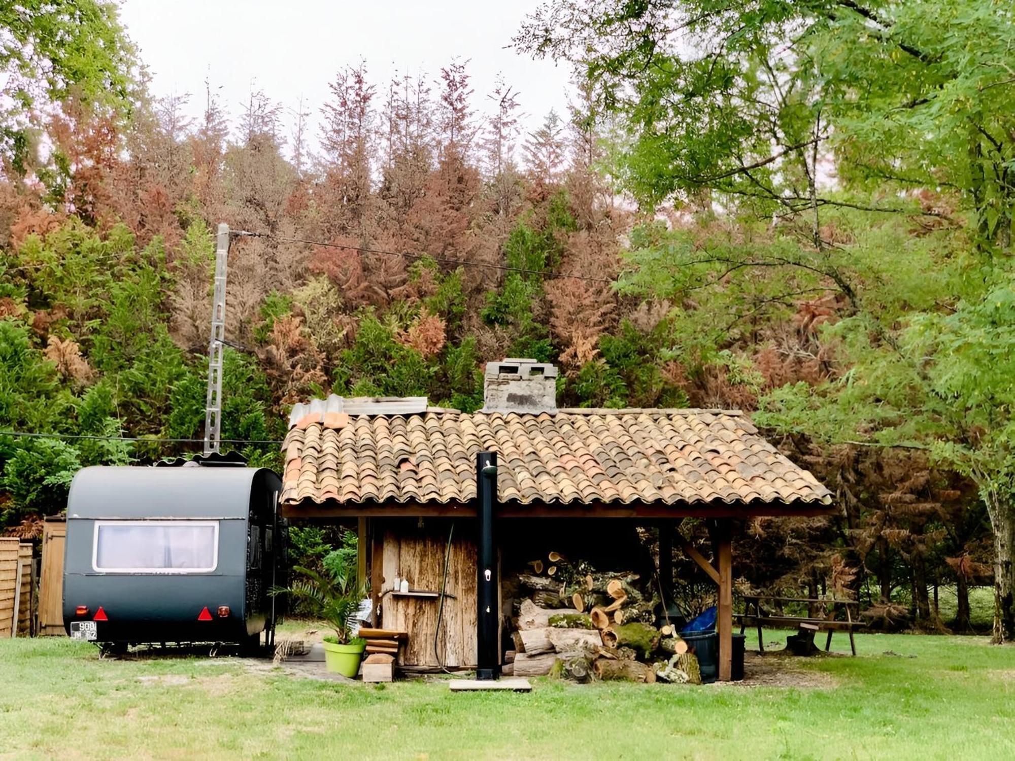 Into The Wild - Nos 5 Logements "Atypiques" Belin-Beliet 外观 照片