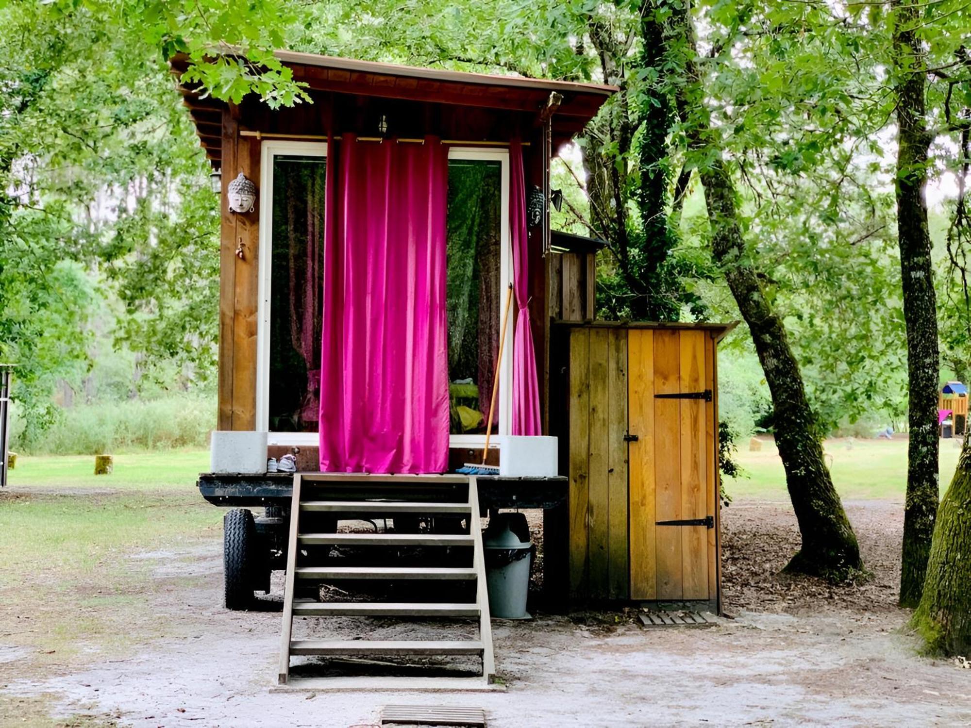 Into The Wild - Nos 5 Logements "Atypiques" Belin-Beliet 外观 照片