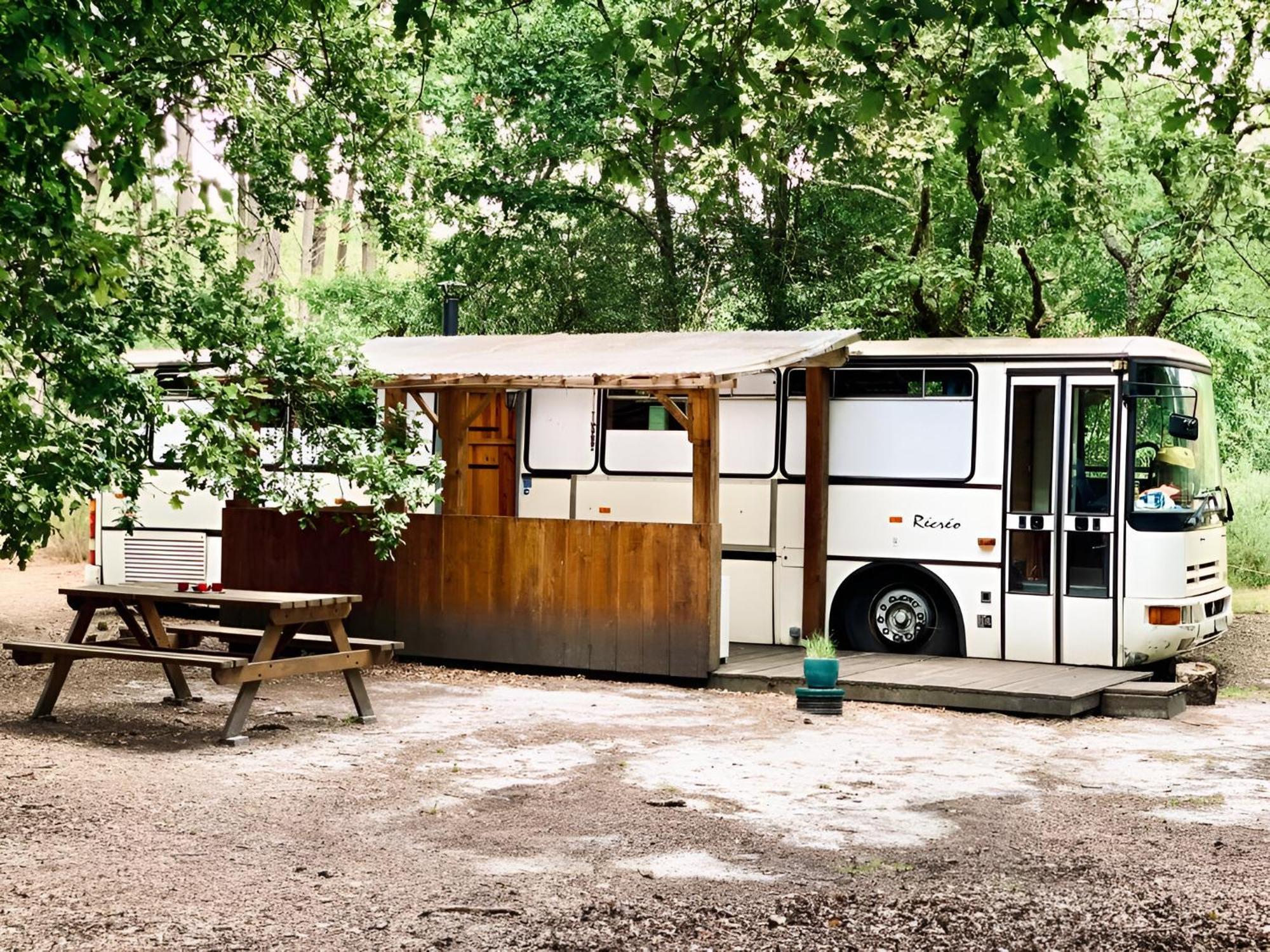 Into The Wild - Nos 5 Logements "Atypiques" Belin-Beliet 外观 照片