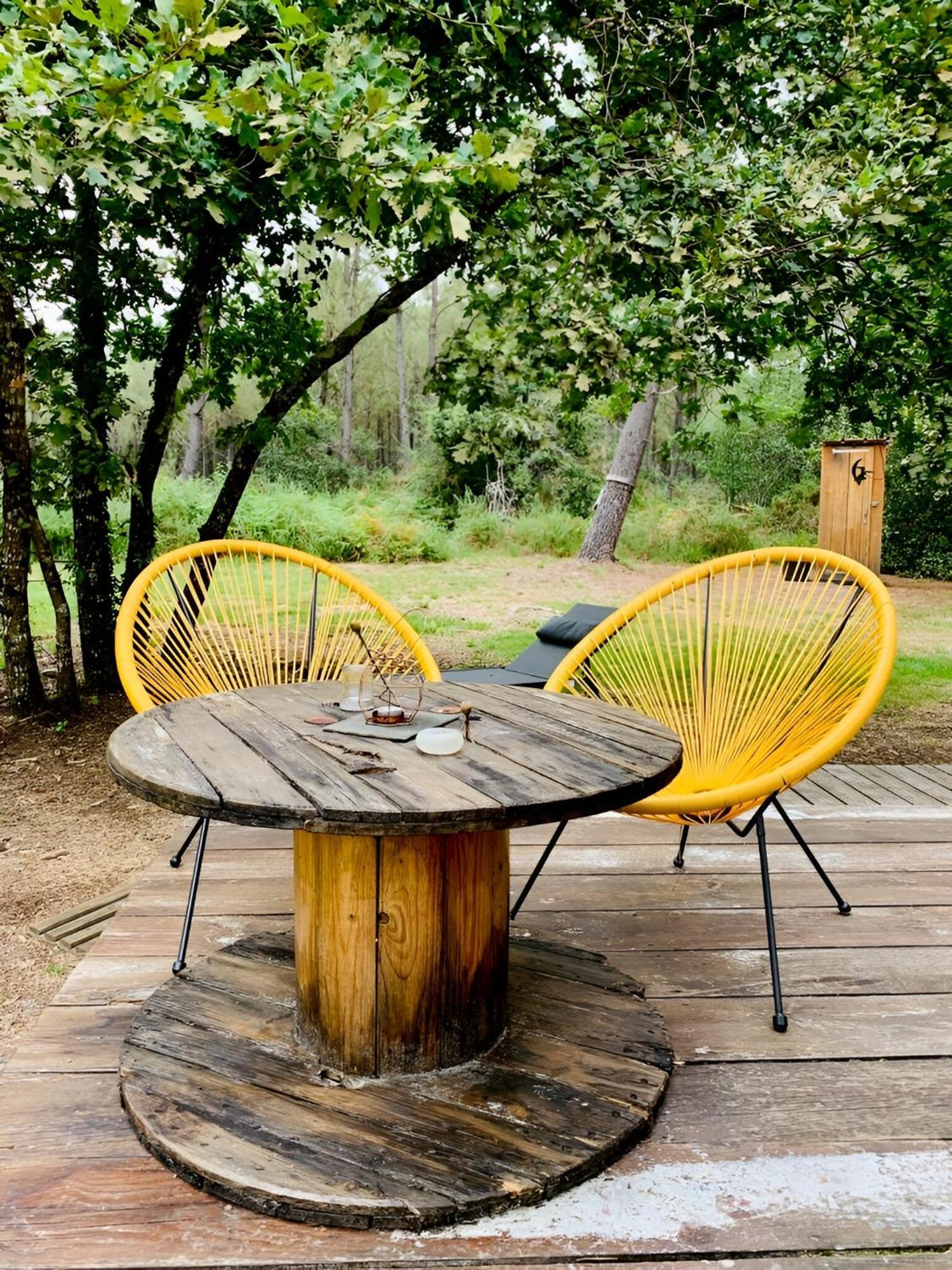 Into The Wild - Nos 5 Logements "Atypiques" Belin-Beliet 客房 照片