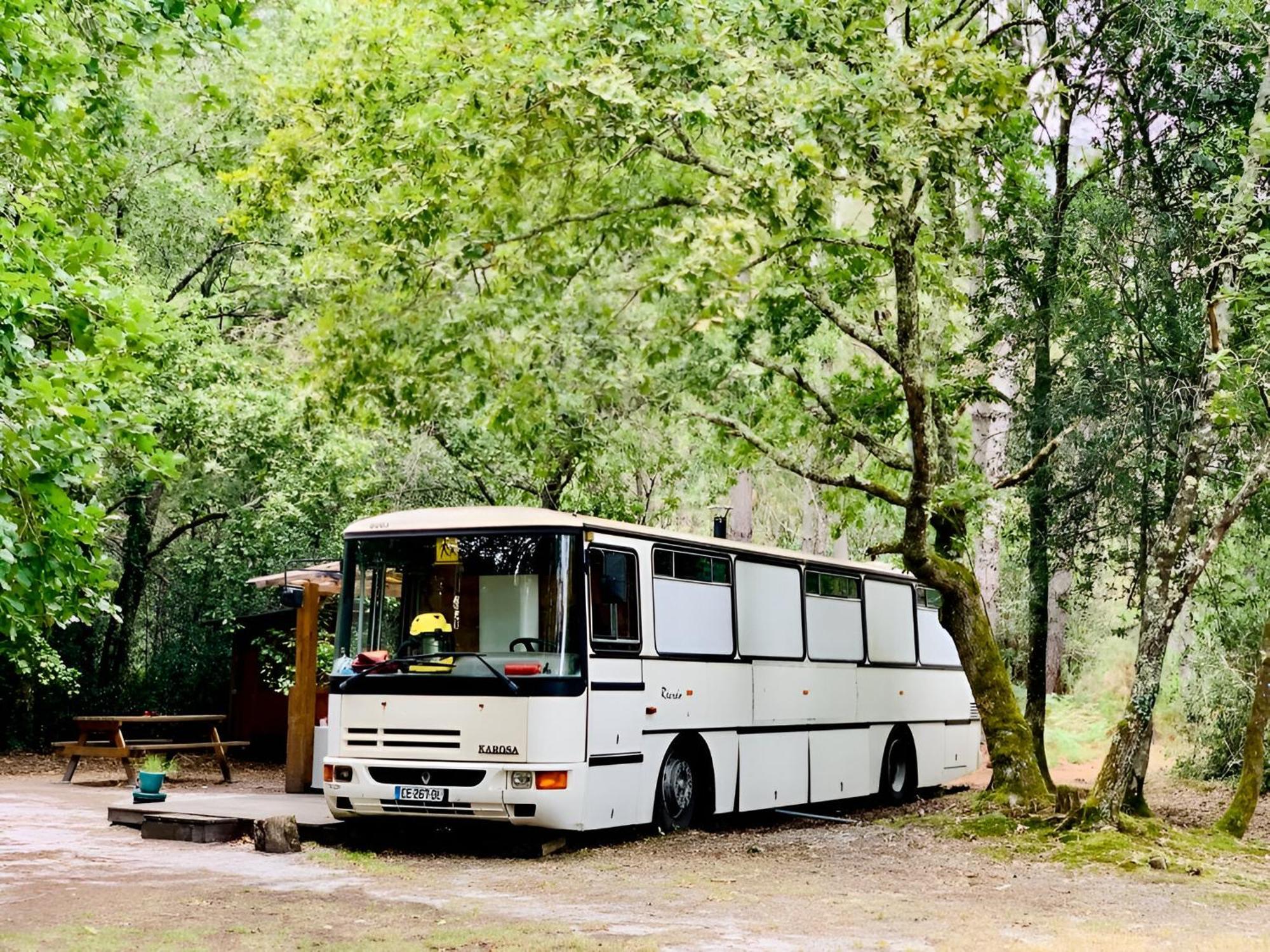 Into The Wild - Nos 5 Logements "Atypiques" Belin-Beliet 客房 照片