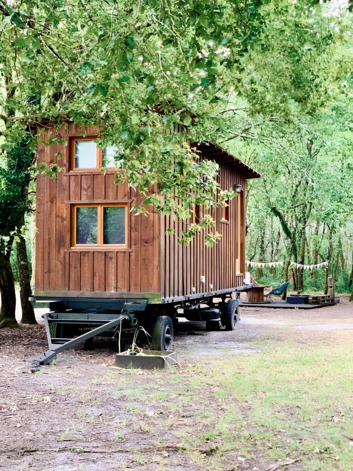 Into The Wild - Nos 5 Logements "Atypiques" Belin-Beliet 客房 照片